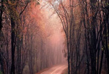 沃西：里夫斯对比赛有着近乎本能的嗅觉 他从不只是机械地打球.