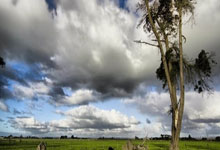 PG模拟器官网：韩国游泳头号王牌终极一战拿下世锦赛门票 冲击前辈朴泰桓成就 对标孙杨还差得远.