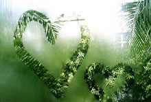 库里52分12记三分球勇士胜灰熊西部第五，湖勇大战一触即发.