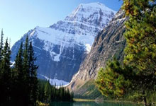 PG模拟器官网：[图]拜仁1-3遭逆转 先赛领先1分末轮决战定冠军.