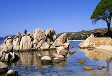 曼联旧将：戴维斯很适合这支曼联，达洛特和卢克-肖都有欠缺罗马诺：巴黎与K77彻底达成协议，后者薪水涨至目前的4～5倍.